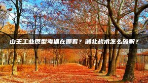 山王工业原型考据在哪看？湘北战术怎么破解？ | ae插件合集