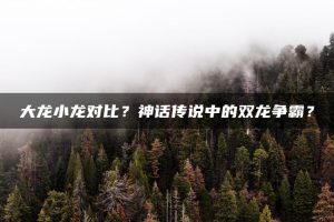 大龙小龙对比？神话传说中的双龙争霸？ | ae插件合集