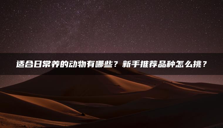 适合日常养的动物有哪些？新手推荐品种怎么挑？ | ae插件合集
