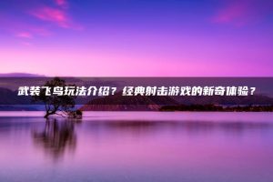 武装飞鸟玩法介绍?经典射击游戏的新奇体验? | ae插件合集