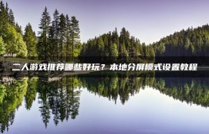 二人游戏推荐哪些好玩?本地分屏模式设置教程 | ae插件合集
