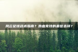 风云足球战术指南?热血竞技的最佳选择? | ae插件合集