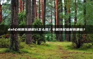 dnf心悦俱乐部积分怎么攒?专属特权福利有哪些? | ae插件合集