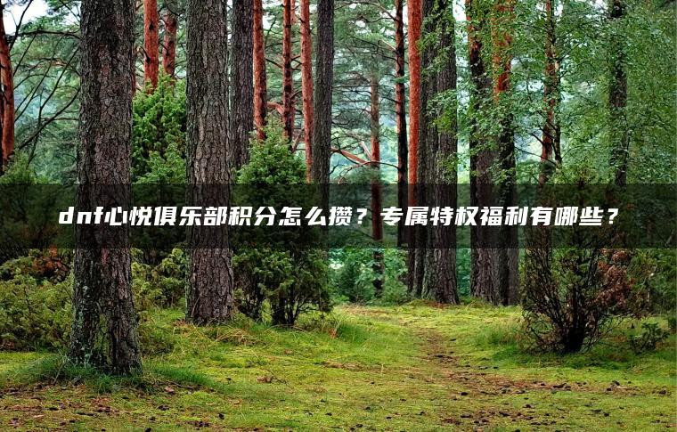 dnf心悦俱乐部积分怎么攒？专属特权福利有哪些？ | ae插件合集