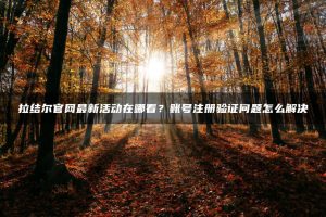 拉结尔官网最新活动在哪看？账号注册验证问题怎么解决 | ae插件合集