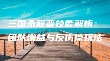 三国杀程普技能解析：团队增益与反伤流玩法 | ae插件合集