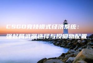 CSGO竞技模式经济系统：强起局武器选择与投掷物配置 | ae插件合集