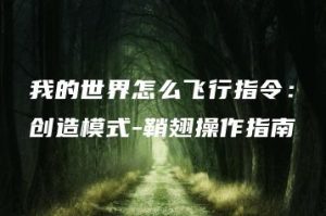 我的世界怎么飞行指令：创造模式-鞘翅操作指南 | ae插件合集