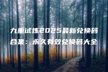 九重试炼2025最新兑换码合集：永久有效兑换码大全 | ae插件合集