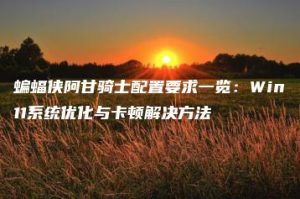 蝙蝠侠阿甘骑士配置要求一览：Win11系统优化与卡顿解决方法 | ae插件合集