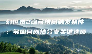 幻世录2隐藏结局触发条件：多周目剧情分支关键选项 | ae插件合集