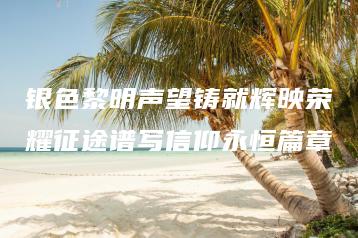 银色黎明声望铸就辉映荣耀征途谱写信仰永恒篇章 | ae插件合集