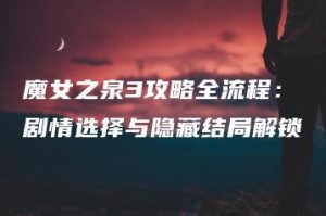 魔女之泉3攻略全流程：剧情选择与隐藏结局解锁 | ae插件合集