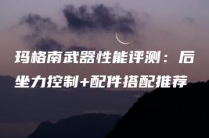 玛格南武器性能评测：后坐力控制+配件搭配推荐 | ae插件合集