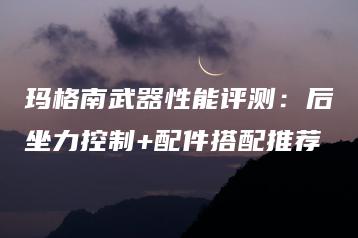 玛格南武器性能评测：后坐力控制+配件搭配推荐 | ae插件合集