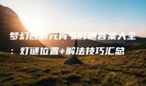 梦幻西游元宵节灯谜答案大全：灯谜位置+解法技巧汇总 | ae插件合集
