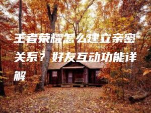 王者荣耀怎么建立亲密关系？好友互动功能详解 | ae插件合集