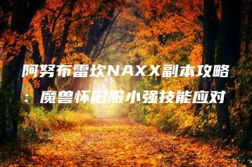 阿努布雷坎NAXX副本攻略：魔兽怀旧服小强技能应对 | ae插件合集