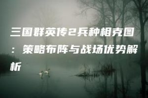 三国群英传2兵种相克图：策略布阵与战场优势解析 | ae插件合集