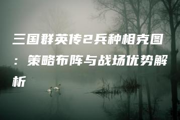 三国群英传2兵种相克图：策略布阵与战场优势解析 | ae插件合集