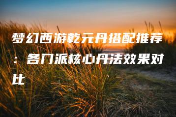 梦幻西游乾元丹搭配推荐：各门派核心丹法效果对比 | ae插件合集