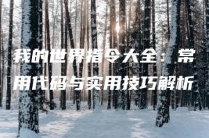 我的世界指令大全：常用代码与实用技巧解析 | ae插件合集