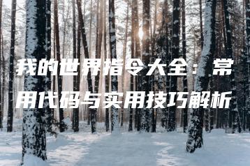 我的世界指令大全：常用代码与实用技巧解析 | ae插件合集