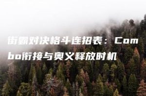 街霸对决格斗连招表：Combo衔接与奥义释放时机 | ae插件合集