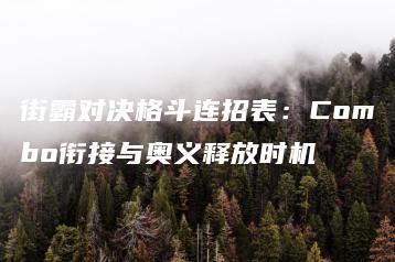 街霸对决格斗连招表：Combo衔接与奥义释放时机 | ae插件合集