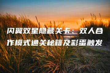 闪翼双星隐藏关卡：双人合作模式通关秘籍及彩蛋触发 | ae插件合集