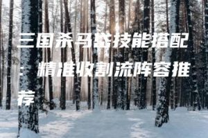 三国杀马岱技能搭配：精准收割流阵容推荐 | ae插件合集