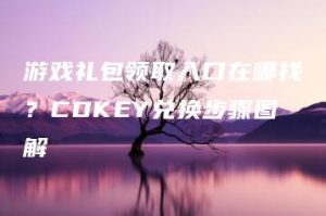 游戏礼包领取入口在哪找？CDKEY兑换步骤图解 | ae插件合集
