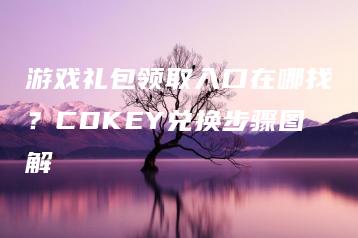 游戏礼包领取入口在哪找？CDKEY兑换步骤图解 | ae插件合集