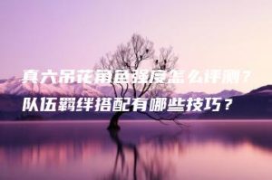 真六吊花角色强度怎么评测？队伍羁绊搭配有哪些技巧？ | ae插件合集