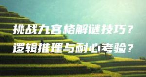 挑战九宫格解谜技巧？逻辑推理与耐心考验？ | ae插件合集