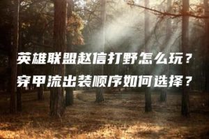 英雄联盟赵信打野怎么玩？穿甲流出装顺序如何选择？ | ae插件合集