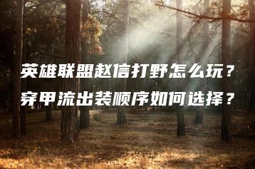 英雄联盟赵信打野怎么玩？穿甲流出装顺序如何选择？ | ae插件合集
