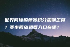 世界网球锦标赛积分规则怎算？赛事回放观看入口在哪？ | ae插件合集
