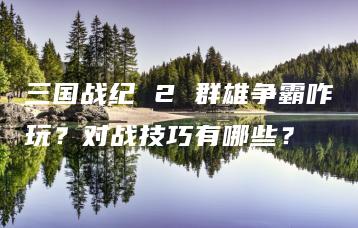 三国战纪 2 群雄争霸咋玩？对战技巧有哪些？ | ae插件合集