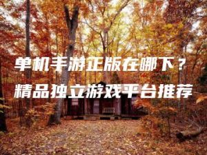 单机手游正版在哪下？精品独立游戏平台推荐 | ae插件合集