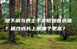 地下城与勇士手游职业首选谁？属性成长上限哪个更高？ | ae插件合集