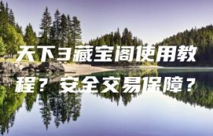 天下3藏宝阁使用教程？安全交易保障？ | ae插件合集