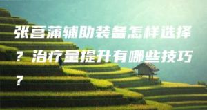 张菖蒲辅助装备怎样选择？治疗量提升有哪些技巧？ | ae插件合集