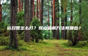 远吕智怎么打？弱点破解方法有哪些？ | ae插件合集