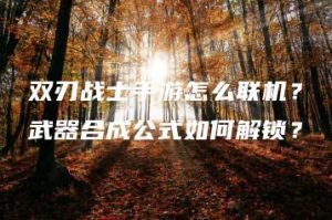 双刃战士手游怎么联机？武器合成公式如何解锁？ | ae插件合集