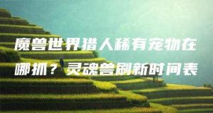 魔兽世界猎人稀有宠物在哪抓？灵魂兽刷新时间表 | ae插件合集