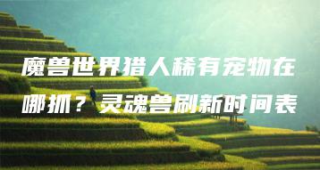 魔兽世界猎人稀有宠物在哪抓？灵魂兽刷新时间表 | ae插件合集