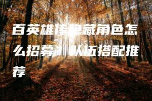 百英雄传隐藏角色怎么招募？队伍搭配推荐 | ae插件合集