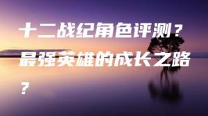 十二战纪角色评测？最强英雄的成长之路？ | ae插件合集