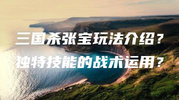 三国杀张宝玩法介绍？独特技能的战术运用？ | ae插件合集